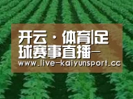 种植基地六(图1)
