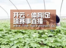 种植基地三