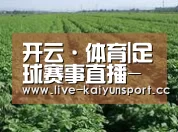 种植基地五