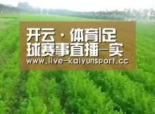 种植基地四