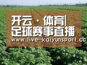 种植基地五(图1)
