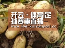 产品展示标题2