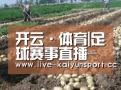 种植基地七(图1)